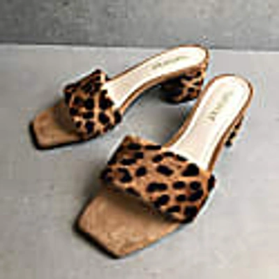 Shop Hammer Eris Leopard Leather Mules