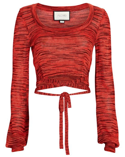 Shop Alexis Loli Space Dyed Knit Crop Top In Red
