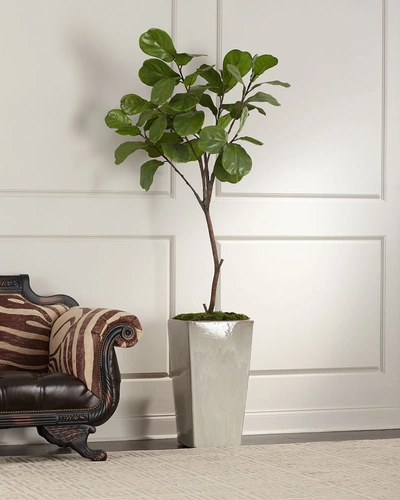 Shop John-richard Collection Tarro Fig Tree