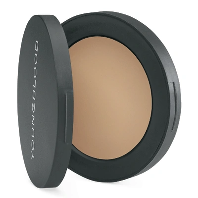 Shop Youngblood Ultimate Concealer In Tan