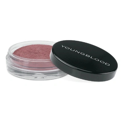 Shop Youngblood Crushed Mineral Blush In Plumberry