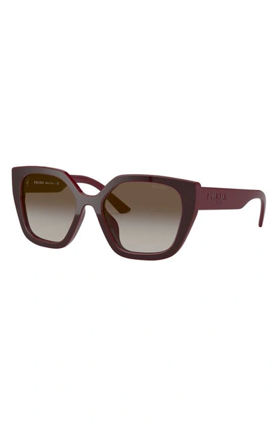 Shop Prada 52mm Butterfly Polarized Sunglasses In Bordeaux
