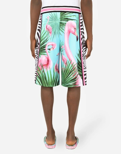Shop Dolce & Gabbana Technical Fabric Jogging Shorts With Flamingo Print In Multicolor