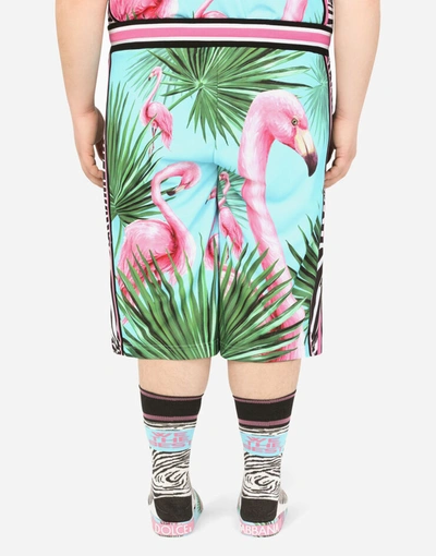 Shop Dolce & Gabbana Technical Fabric Jogging Shorts With Flamingo Print In Multicolor