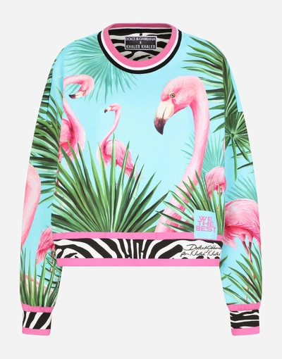 Shop Dolce & Gabbana Round-neck Jersey Sweatshirt With Flamingo Print In Multicolor