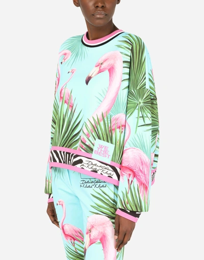 Shop Dolce & Gabbana Round-neck Jersey Sweatshirt With Flamingo Print In Multicolor