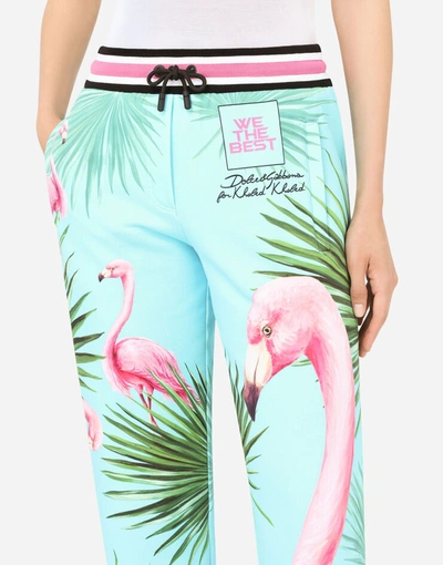 Dolce & Gabbana Jersey Jogging Pants With Flamingo Print In 