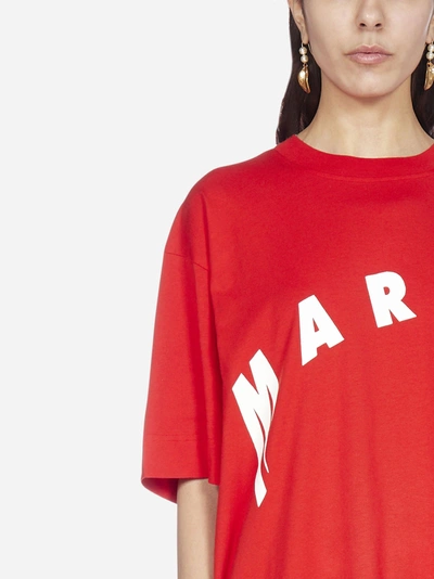 Shop Marni Logo Cotton T-shirt
