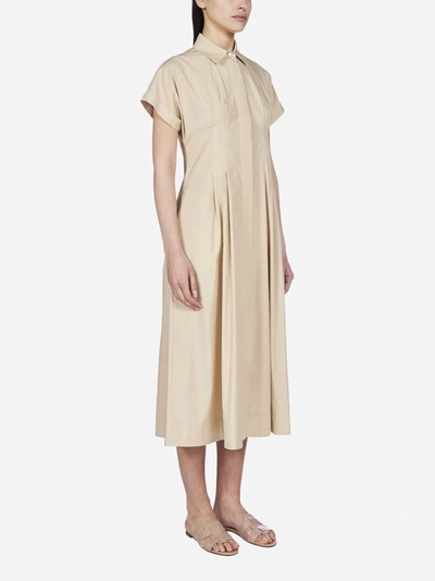 Max Mara Maxmara Studio Albano Cotton Midi Shirt Dress In Beige | ModeSens