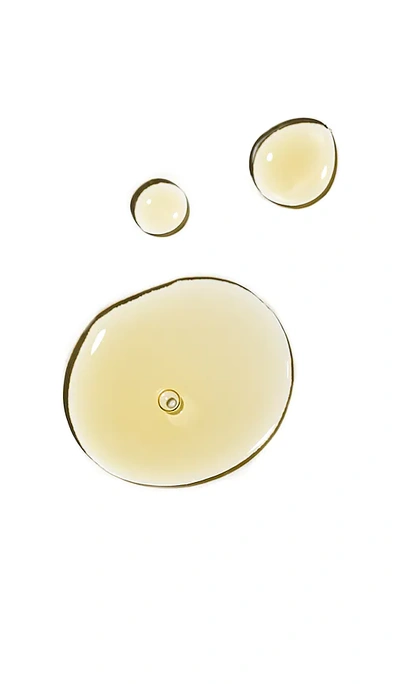 Mara Beauty Algae + Moringa Universal Face Oil In Beauty: Na