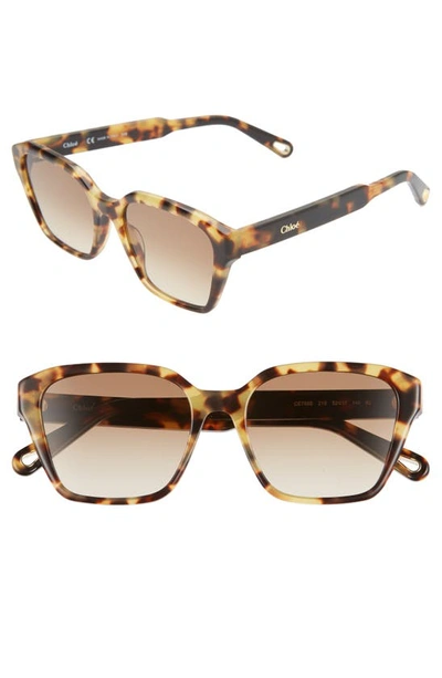 Shop Chloé Willow 52mm Square Sunglasses In Havana/ Brown