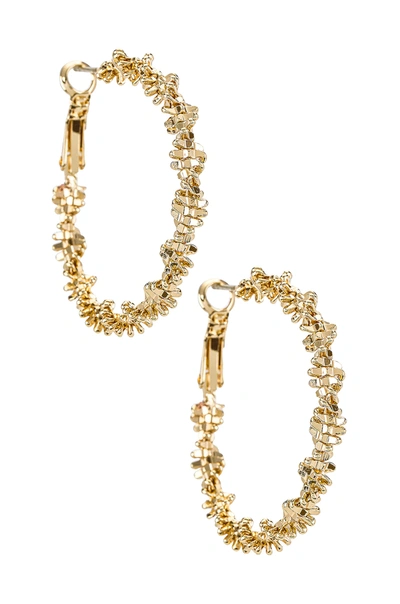 Shop Amber Sceats Textured Hoop Earrings In Metallic Gold