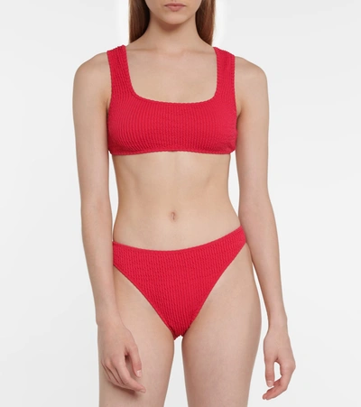 Tropic Of C Scorpio Bikini Top In Pink