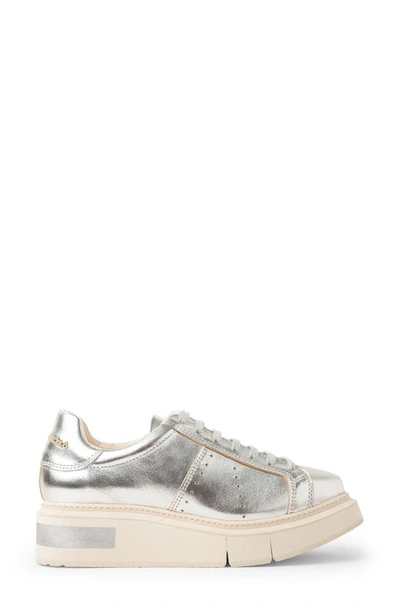 Shop Paloma Barceló Agen Sneaker In Leather Silver