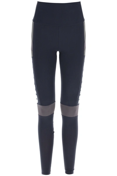 Shop Weekend Max Mara Technical Cotton Leggings In Mixed Colours