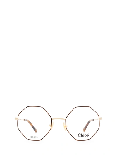 Shop Chloé Ch0022o Gold & Havana Glasses