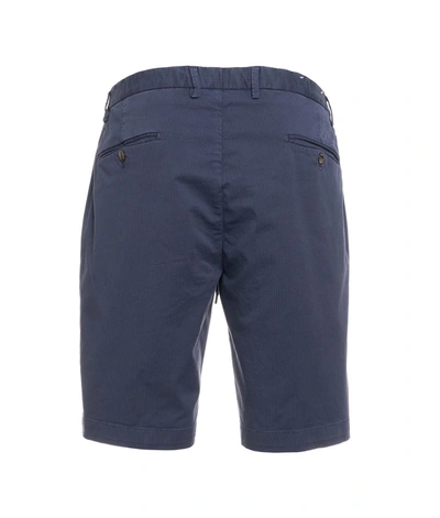 Shop Briglia 1949 Men's Blue Cotton Shorts