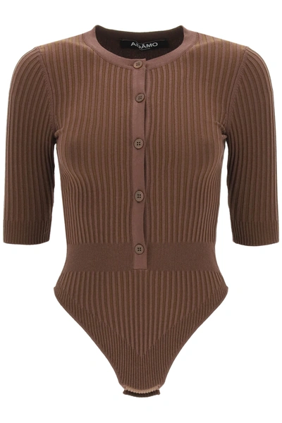 Shop Adamo Ribbed Knit Bodysuit In Brown