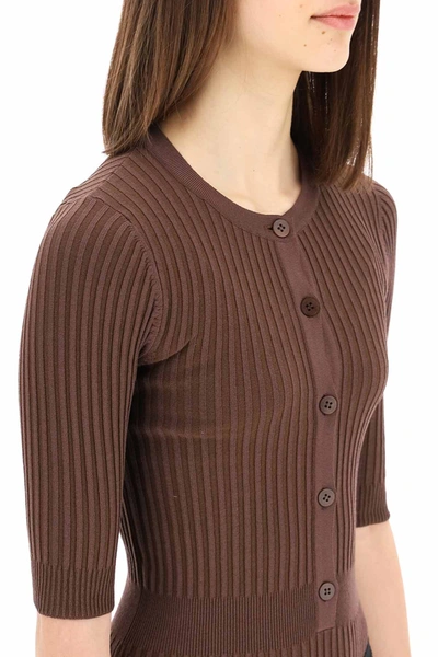 Shop Adamo Ribbed Knit Bodysuit In Brown