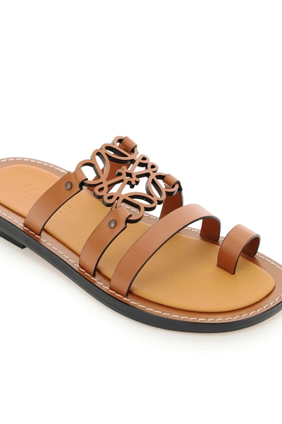 Shop Loewe Anagram Flat Mule In Brown