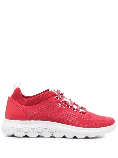 Geox Spherica Knitted Sneakers In Rot