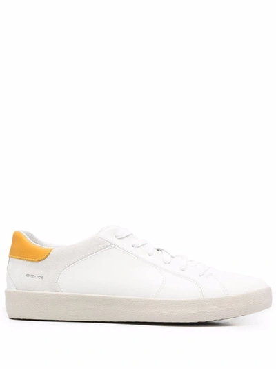 Shop Geox Warley Low-top Sneakers In Weiss