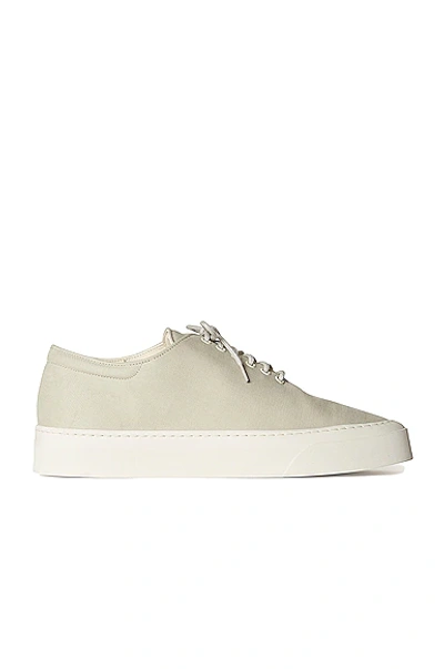 Shop The Row Marie H Lace Up Canvas Sneakers In Light Grey
