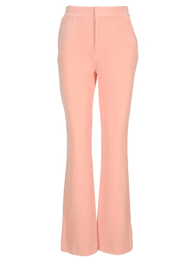 Shop Alexander Wang Stacked Pant In Velour Tailoring In Quartz Pink
