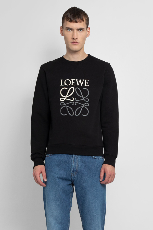 loewe sweaters