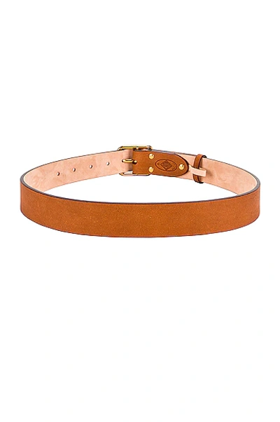 Shop Chloé Classic Leather Belt In Canyon Brown
