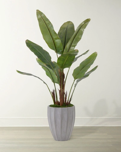 Shop John-richard Collection New Banana Tree