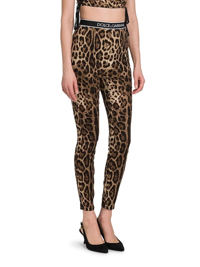 Shop Dolce & Gabbana Leopard-print Charmeuse Logo Band Leggings In Leo New
