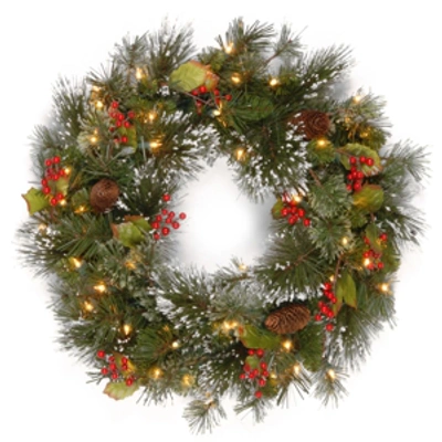 National Tree Company 24" Wintry Pine Wreath With Cones, Red Berries, Snowflakes And 50 Clear Lights In Green