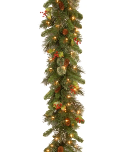 National Tree Company 9' Wintry Pine Garland With Cones, Red Berries, Snowflakes & 100 Clear Lights In Green