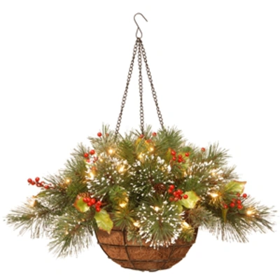 Shop National Tree Company National Tree 20" Wintry Pine(r) Hanging Basket With Battery Operated Warm White Led Lights In Green