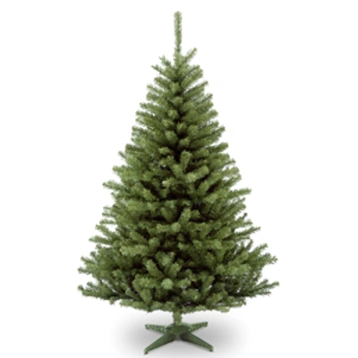 National Tree Company National Tree 6' Kincaid Spruce Tree In Green