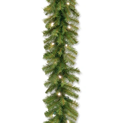 National Tree Company National Tree 9' X 10" Norwood Fir Garland With 50 Battery Operated Soft White Led Lights In Green