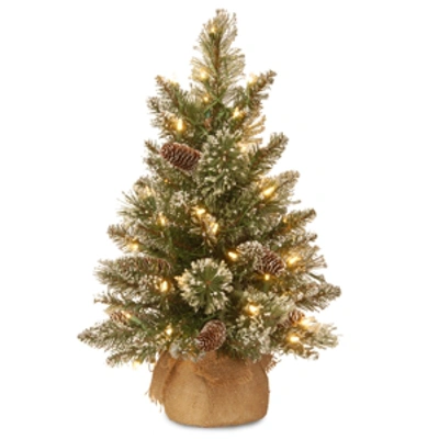 National Tree Company 2' Glittery Bristle Pine Burlap Tree With Warm White Battery Operated Led Lights In Green