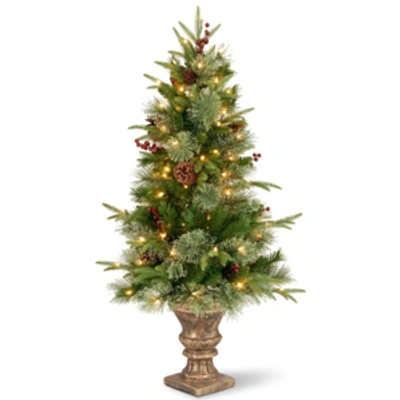 Shop National Tree Company National Tree 4' "feel Real" Colonial Entrance Tree With Berries, Cones And Clear Lights In Dark Bro In Green