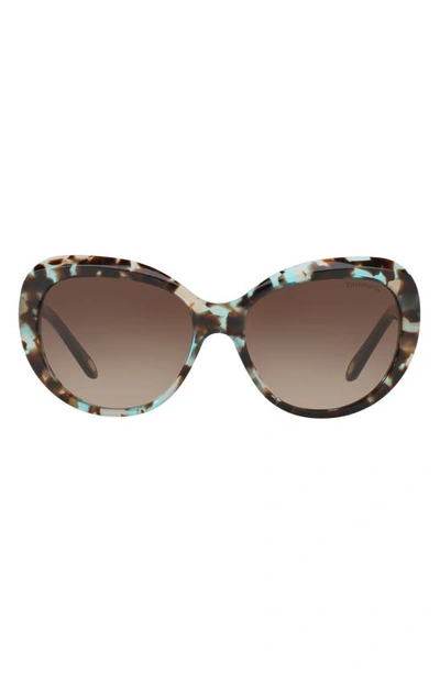 Shop Tiffany & Co 56mm Gradient Sunglasses In Spotted Tort Blue/brn Grad