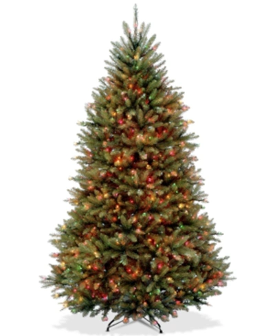 National Tree Company 7' Dunhill Fir Full-bodied Tree With 700 Multicolor Lights In Green