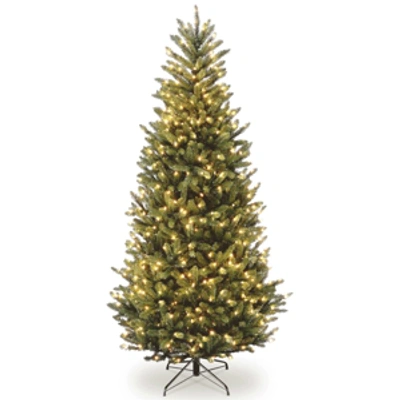 National Tree Company National Tree 9' Natural Fraser Slim Fir Tree With 800 Clear Lights In Green