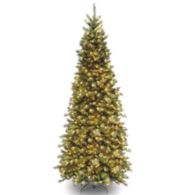 National Tree Company National Tree 10' Tiffany Fir Slim Tree With 800 Clear Lights In Green