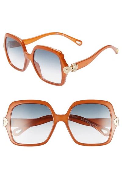 Shop Chloé Vera 55mm Square Sunglasses In Brick
