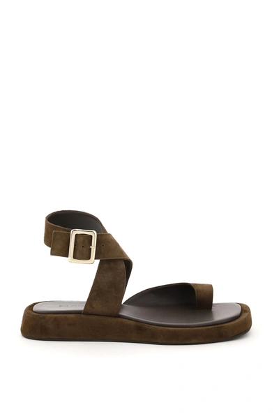 Shop Gia X Rhw Rosie 4 Toe Ring Sandals In Brown Stone (brown)