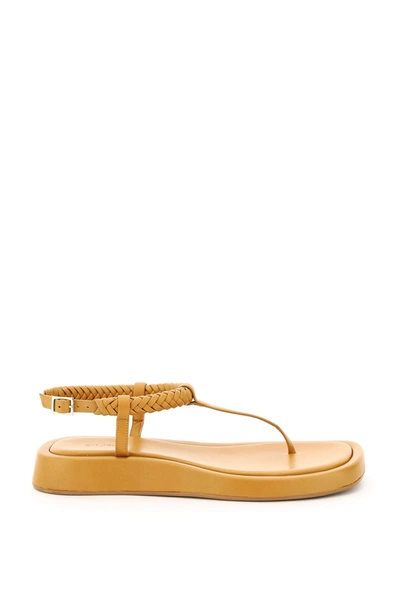 Shop Gia X Rhw Rosie 3 Thong Sandals In Golden Brown (brown)