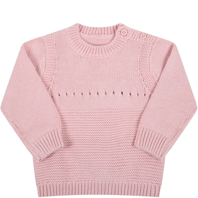 Shop Stella Mccartney Pink Sweater For Baby Girl With Pink Dog