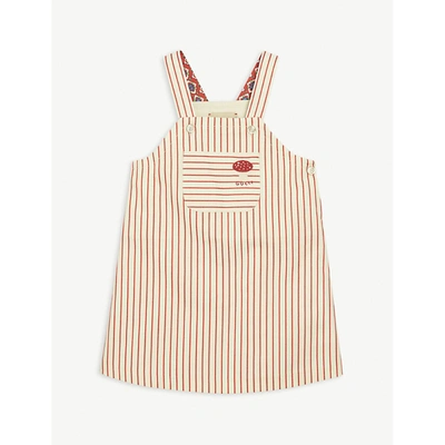 Shop Gucci Striped Cotton Dungaree Dress 36 Months In Red