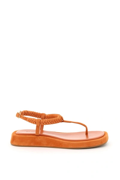 Shop Gia X Rhw Rosie 3 Thong Sandals In Burnt Orange (orange)