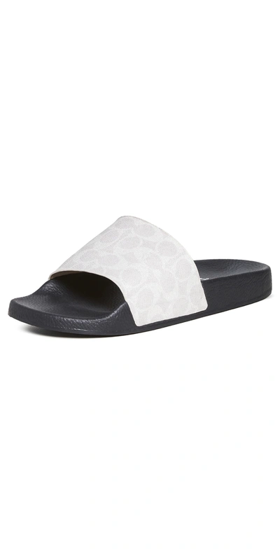 Shop Coach Signature Coated Canvas Pool Slides In Chalk Black